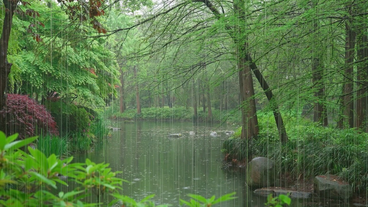 The beautiful little river is raining(470) , sleep, relax, meditate, ASMR, Real Shot