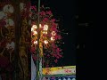 রাতের রাজশাহী... #রাজশাহী #travel #shorts #viral