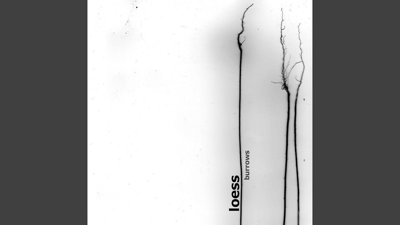 Guarda Bud su YouTube Guarda Bud su YouTube