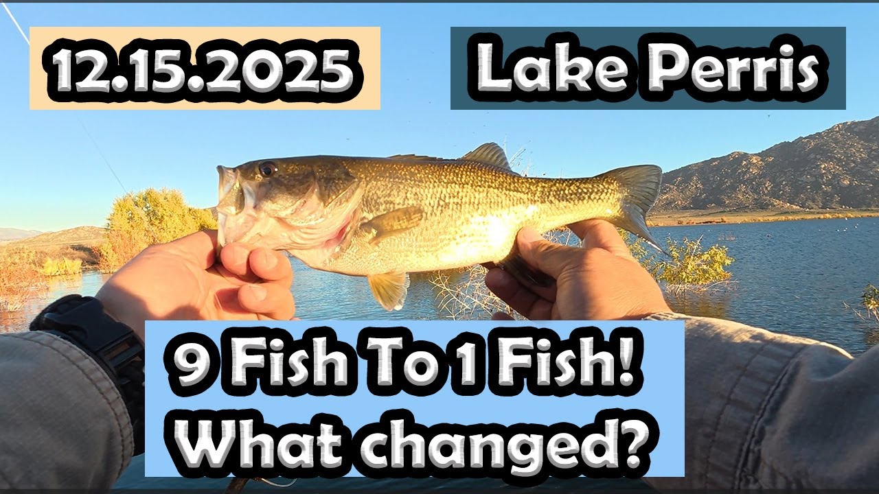 Lake Perris Bass Fishing: Dont Chase Yesterdays Bite. Lesson Learned.