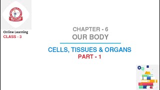Class 3 Science : Chapter - 6   Our Body | Part - 1 | Cells, Tissues & Organs