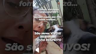 Como tratar bem.os animais que tbm são seres senscientes. Drª Msc Giulia mestreUFRRJ (5)