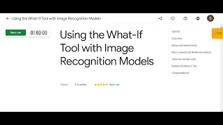 Using the What-If Tool with Image Recognition Models | Qwiklabs GSP710 | 30 Days of Google Cloud