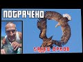 Потрачено. Танец Орлов. Лучшие приколы, смешные видео и фейлы