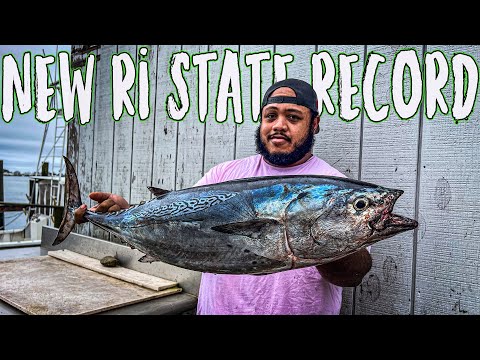 Catching The New RHODE ISLAND STATE RECORD ALBIE! On Accident