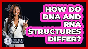How Do DNA And RNA Structures Differ? - Science Through Time