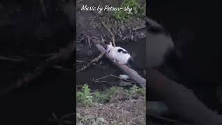 Inspirational piano music for work, relax and joy with deep feelings.