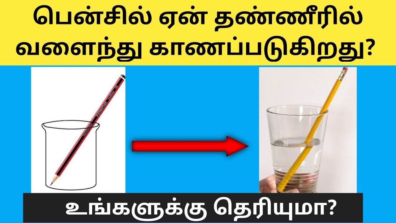 Interesting Unknown Science facts in tamil | Thinam Oru GK
