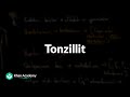 Tonzillit | Tomoq kasalliklari | Tibbiyot