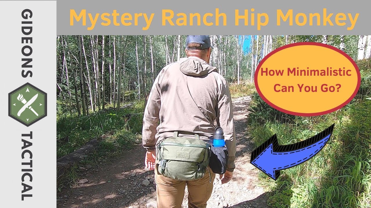 Mystery Ranch Hip Monkey Hip Bag - Lizard