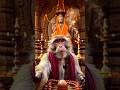 Bajrangbalir dut|বজরংবলির দূত বলছি... #devotional #bajrangbali #ram #ai #funny #monkey #veo3 #trend