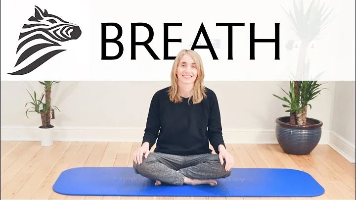 Movement With Jeannie Di Bon - Week 1 |  Breath