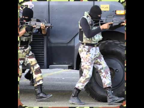 اغنيه ياستار لابطال اهل القائم البومحل 