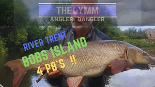 River Trent: Bobs Island 48hrs: Massive Barbel: Red Letter Session