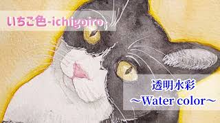 【透明水彩】猫を描いてみた 水彩画