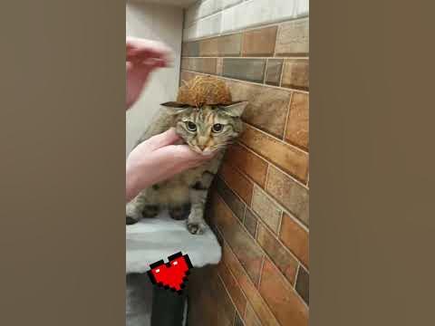 Шляпка - YouTube