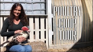 What do backyard Muscovy Ducks need? Poultry Coupe Tour