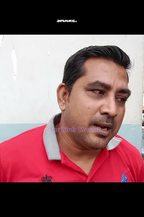 King Of Java Sparrow Sir Hammad Hameed #Ytshorts #Shorts V No 174 Sur ...