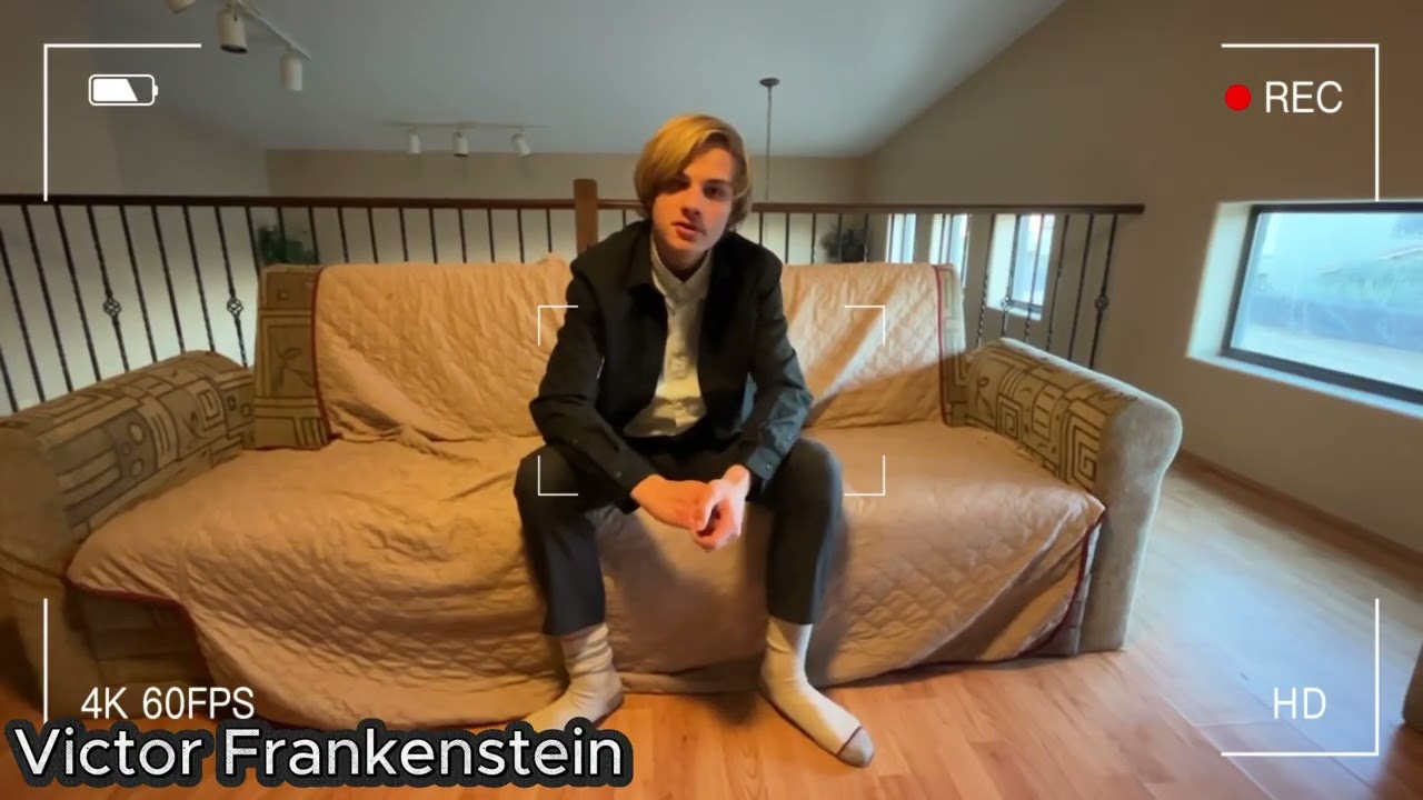 Fun Ap Lit Project Video