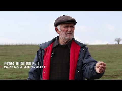 ფრეზეთი