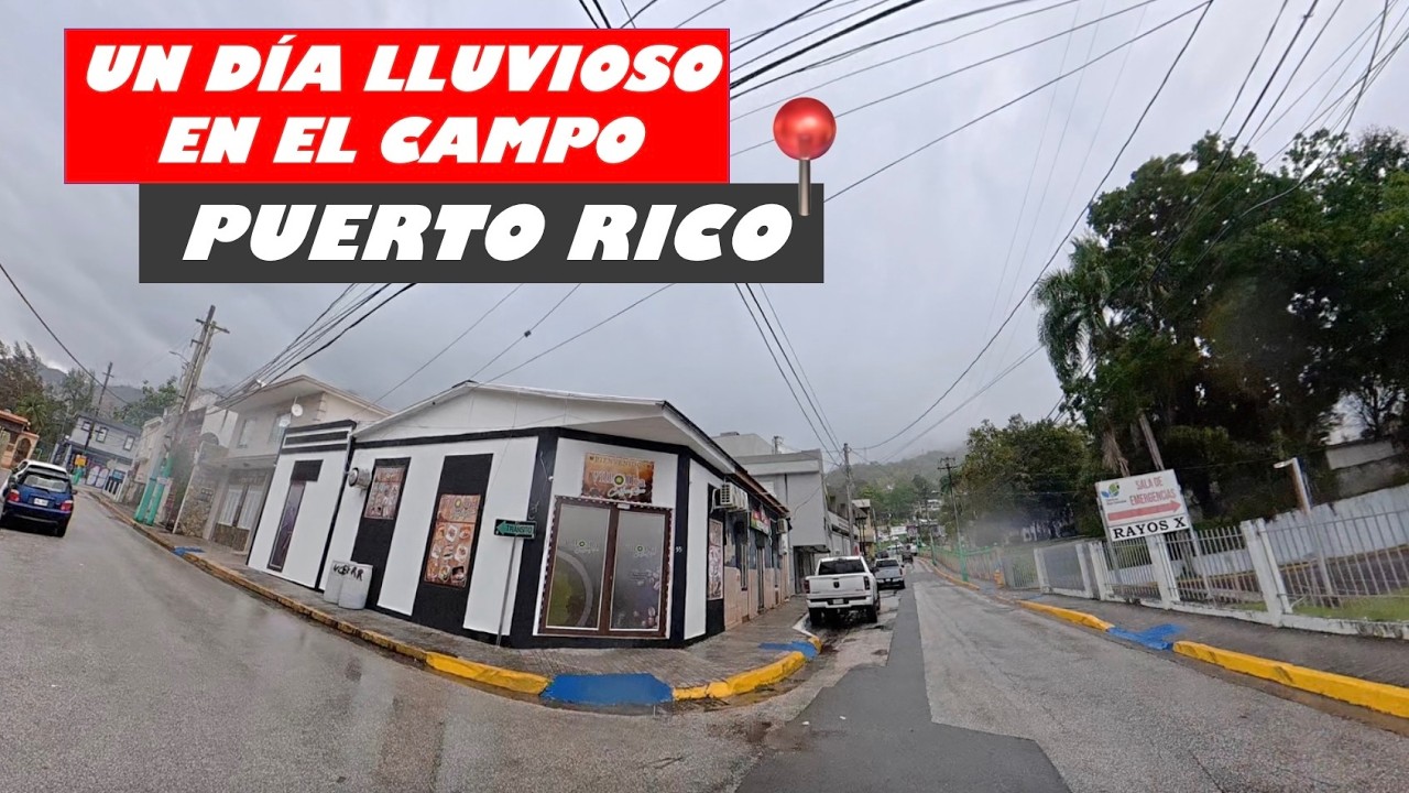 🚙DRIVING AROUND VILLALBA PUERTO RICO 4K🇵🇷 DÍA LLUVIOSO