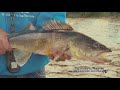 Outdoor bound tv manitoba walleye rigging techniques and bill herrmann black bear ep145