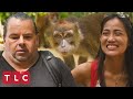 Monkey Steals Big Ed’s Banana! | 90 Day Fiancé: Before The 90 Days