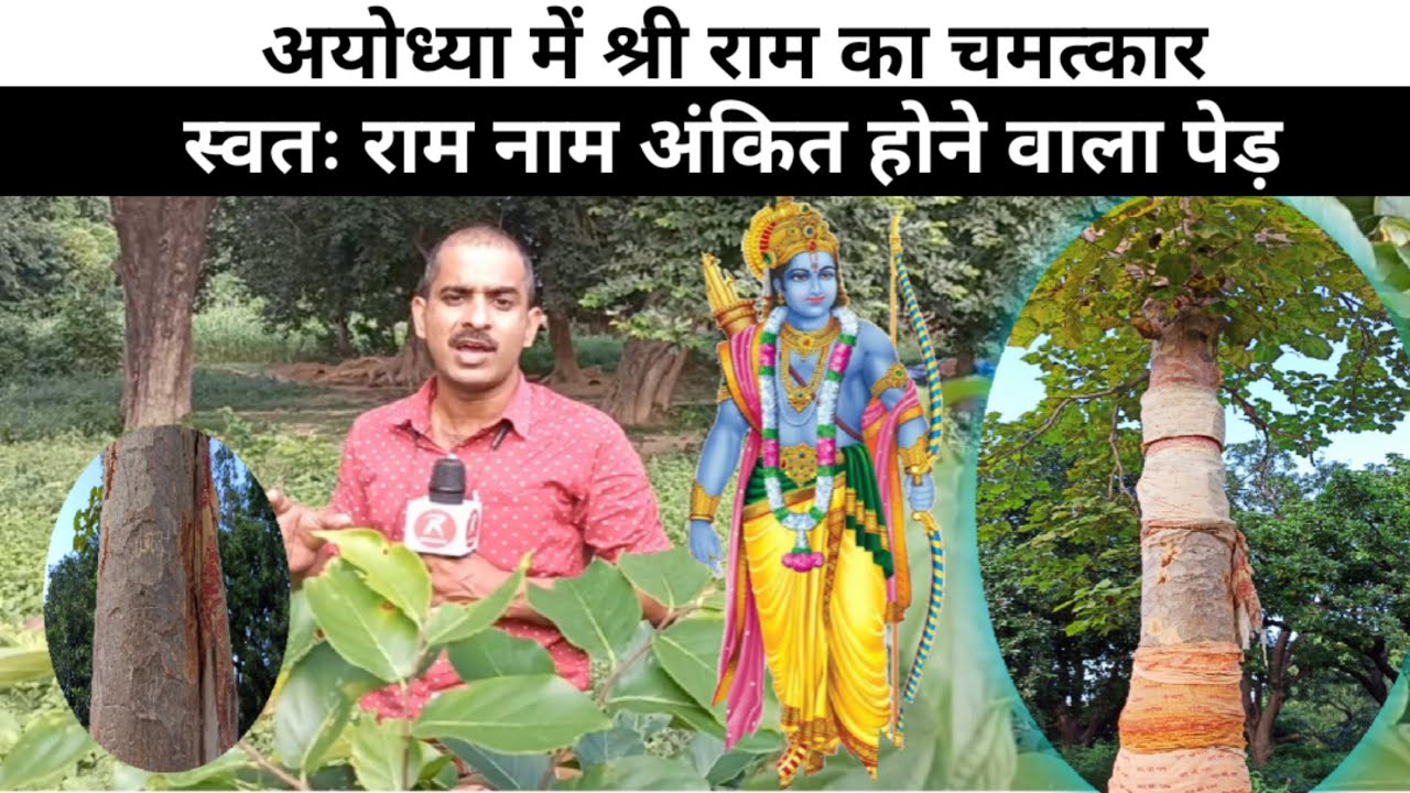अयोध्या का चमत्कारी पेड़ 