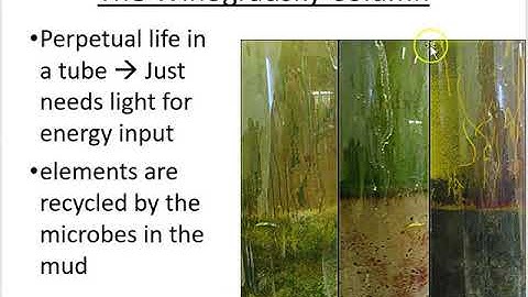 Soil Microbiology Part 1
