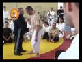 Aikido and Systema seminar demo