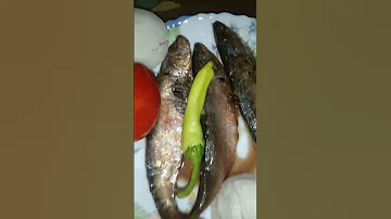 سردين بلدي شغل بيتي باحتراف 