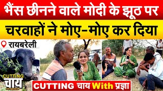 भैंस छीनने वाले Modi के झूठ पर चरवाहों ने मोए-मोए कर दिया.. CUTTING चाय With प्रज्ञा