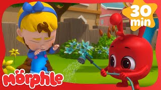 Why is MORPHLE so MUDDY! | Cartoons For Kids | Morphle 3D | Full Episodes | Cartoons for Kids