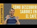 Cómo ser un CATADOR DE CAFÉ: saber describir los sabores del café