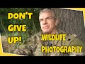 Wildlife Photography - Don't Give Up!