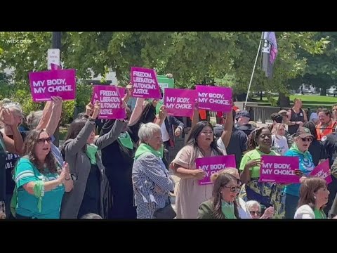 17 members of Congress arrested protesting for abortion rights at Supreme Court