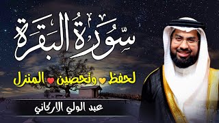 سورة البقرة كاملة للشيخ عبدالولي الاركاني لطرد الشياطين من منزل وجلب البركة باذن اللهSurat Albaqara