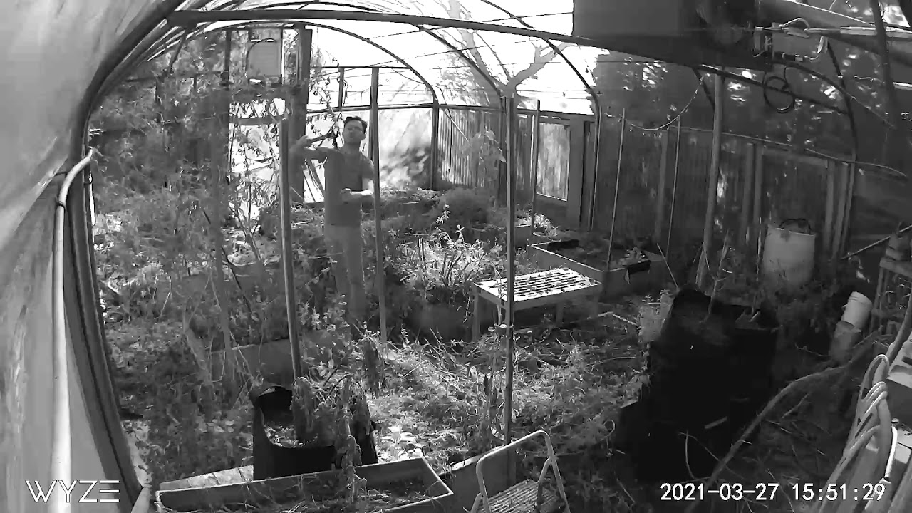 Greenhouse clean up timelapse