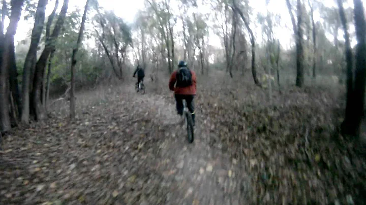 Stillwell Woods Part 1 11/5/11