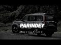 PARINDEY Slowed Reverb Song Haryana Sumit Goswami Parindey Song lofi Song #music