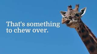 Unlock Savings: Get Your Free Insurance Quotes Today -  Cordell & Company Insurance Agency