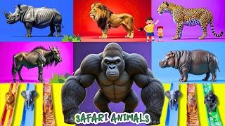 Safari Animal Sounds Song Nursery Rhyme For Kids - Learn Animal Names And Sounds