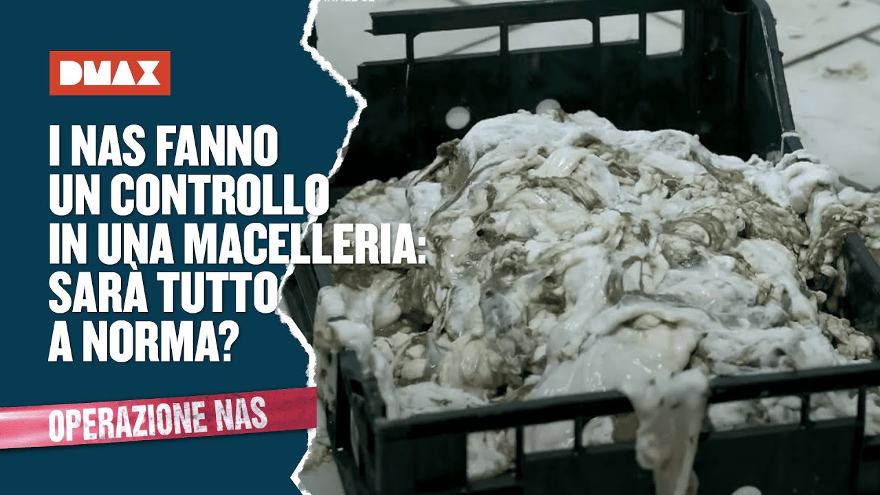 I NAS fanno un controllo in una macelleria: sarà tutto a norma? | Operazione NAS