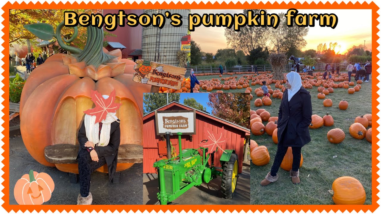 Bengtson’s Pumpkin farm Pumpkin patch Orland Park Pumpkin patch