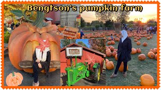 Bengtson’s Pumpkin farm || Pumpkin patch Orland Park || Pumpkin patch farm