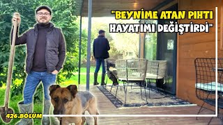 A simple and meaningful life with 1 dog in a detached 30 m² house with 14 acres of garden (Bodrum)