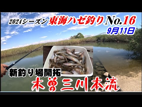 Exploring a New Fishing Spot: A Point on the Kiso Three Rivers