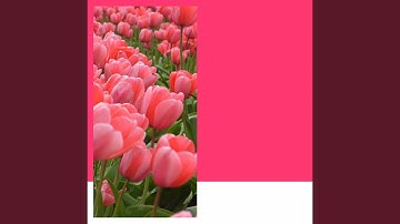 Understated Recharging Routines