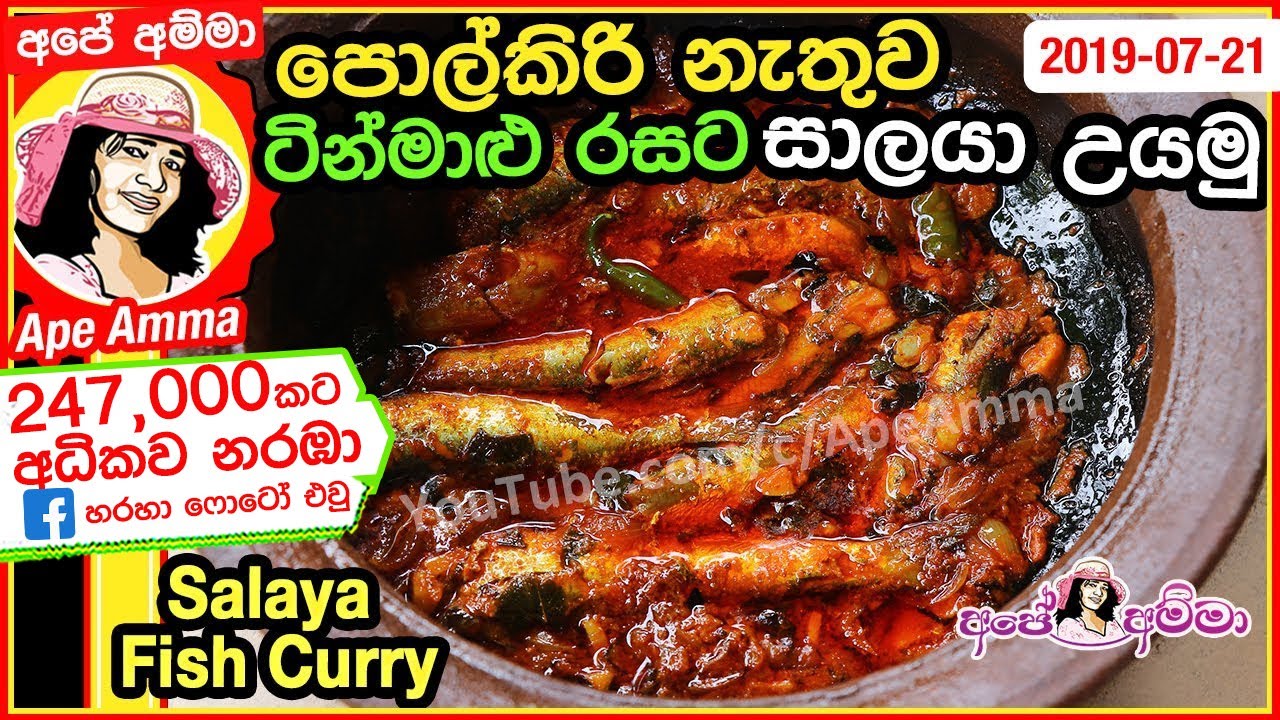 ✔පොල්කිරි නැතුව ටින්මාළු වගේ සාලයෝ උයමු Salaya fish curry by Apé Amma