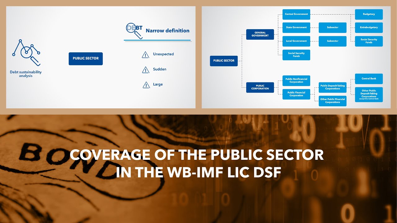 Coverage of the Public Sector in the WB-IMF LIC DSF